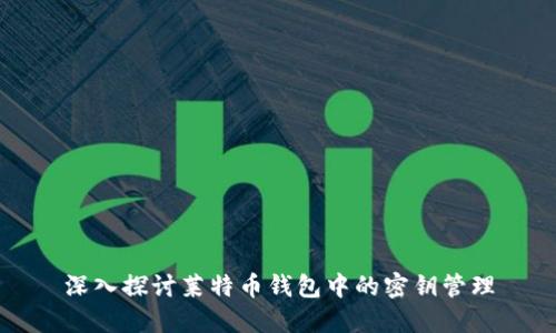 深入探讨莱特币钱包中的密钥管理
